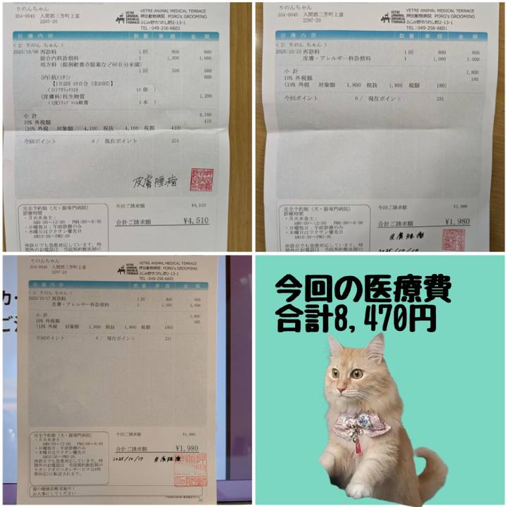 019cfb1f 93ca 46a4 b057 fdc28cdc48b3 1760667530276