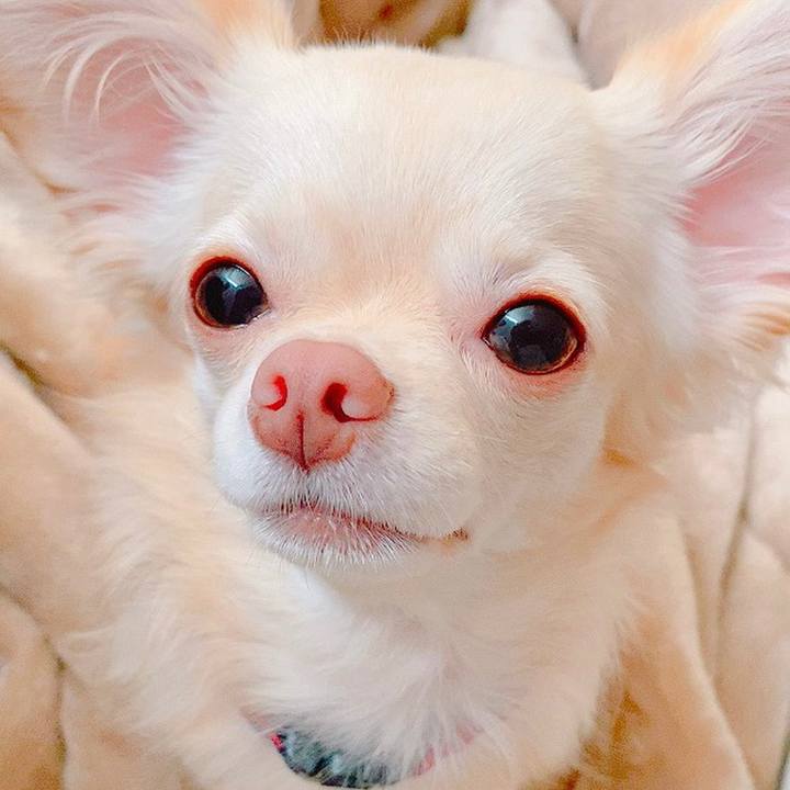 019d0436 90d3 4579 ac55 ae2f8c17537f 1632983964732