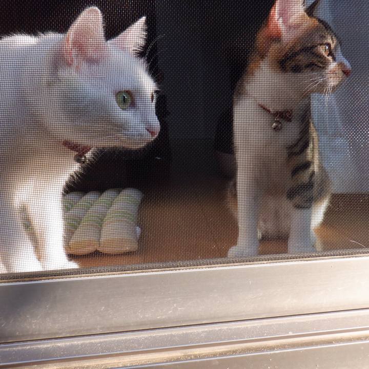 019d3e2c 673a 425a b5ff fe60925d5a2d 1632361778588