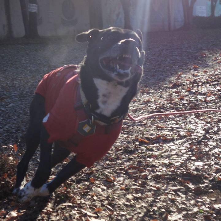 019d459e daa1 4138 9016 6ab336087152 1703553685016