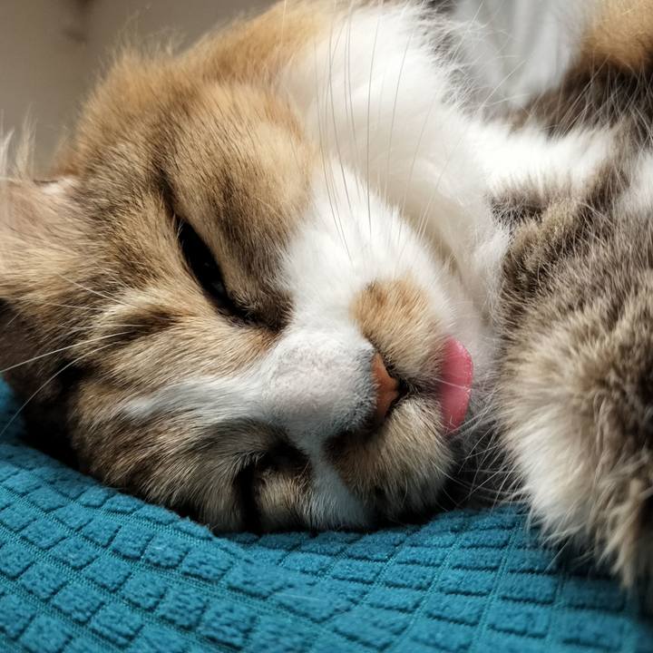 019d4b81 fb4d 4850 b5ba 6d5d85286c21 1768661053108