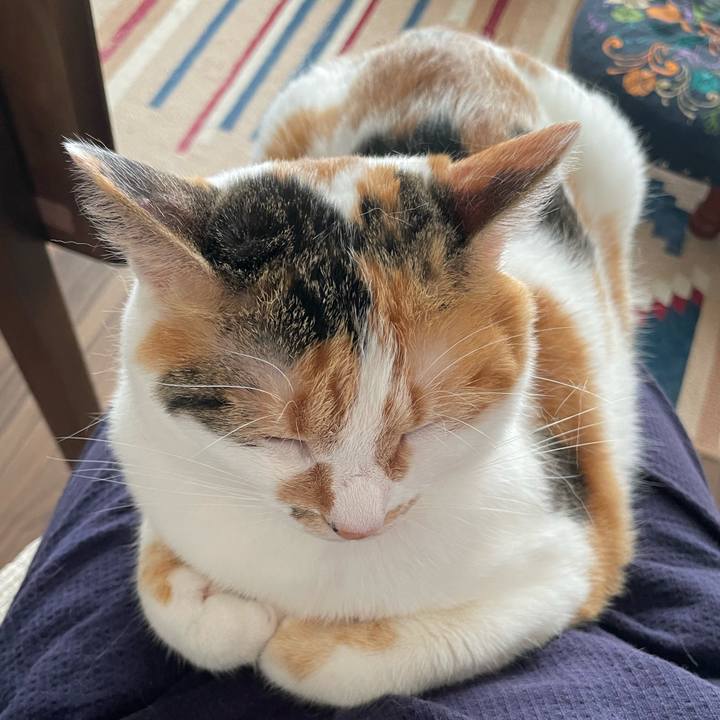 019d52bc af2e 4da1 a460 9daaf39c47a0 1656213841667