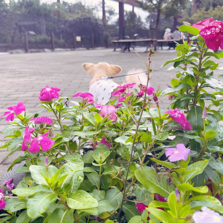 019d747a 5c8a 4e1d 90ee ab53a0907e65 1759629521456