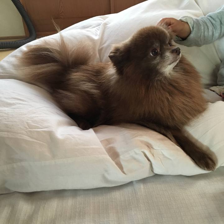 019d89d9 174e 457a 8845 3d61f50acde2 1515218942222