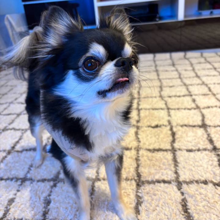 019d9947 f074 4581 9442 c59d7209cec8 1740327334332