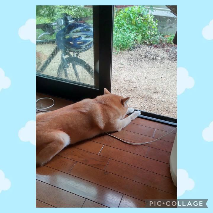 019d9b4a cbd6 43cf 9d94 50ca8883c4f6 1754523883360