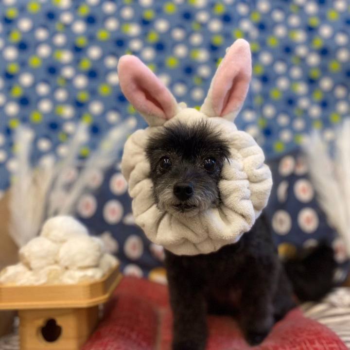 019dbf70 f87e 41db acb3 99b144915794 1661069713225