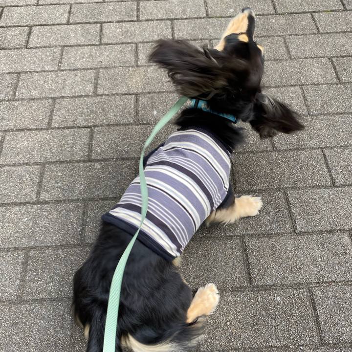 019de9d1 eb0f 4317 a3ea 4f7e7fb8c405 1685664049229