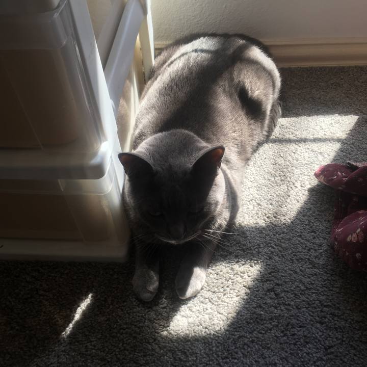 019df9eb 1125 413e b1c6 e15d2b1fbfe4 1650836355960