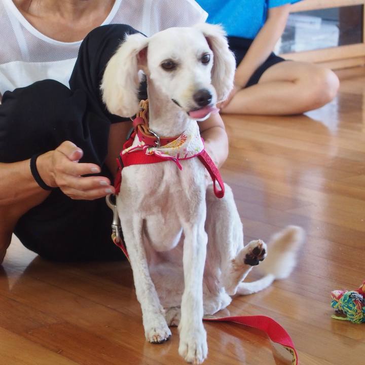 019dfd9a 0702 4c8c ac97 82bdae2eb96d 1532681243584