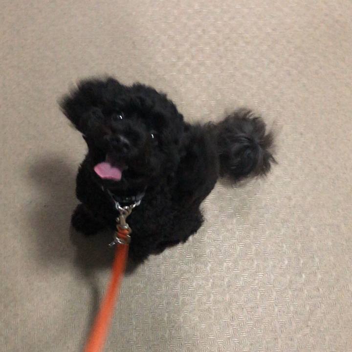 019e1b2b 64f1 4c29 9b35 a83c2ece0644 1538963572879