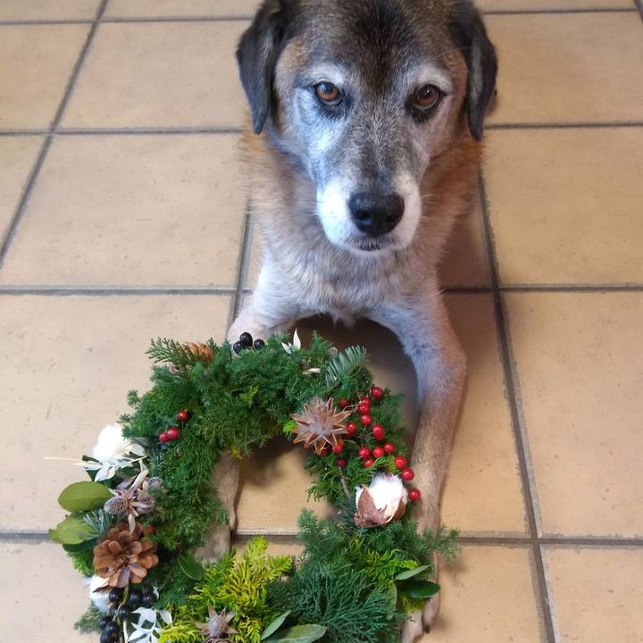 019e76a2 5056 4e78 b5bc 5c6698c89037 1575175863683