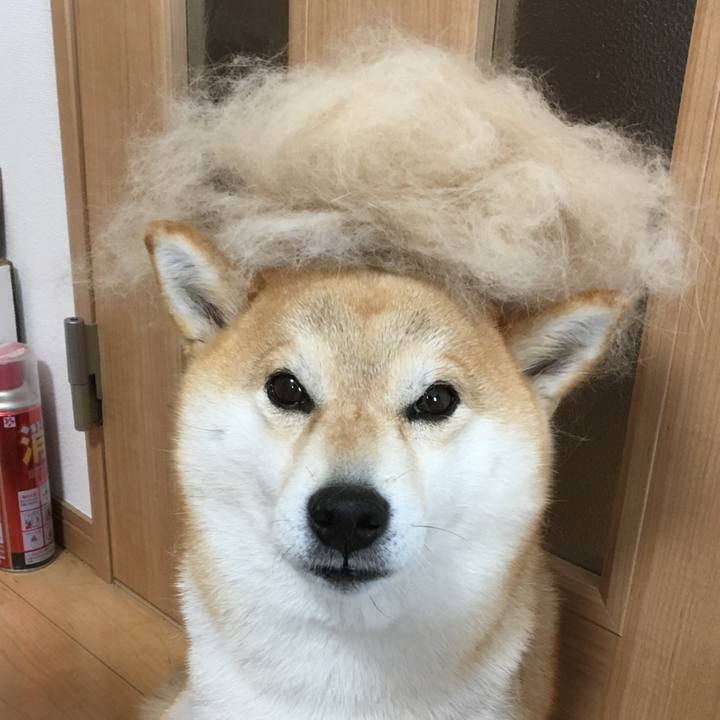 019e8187 0898 4b03 949a 4b068f4e43b2 1554301532561