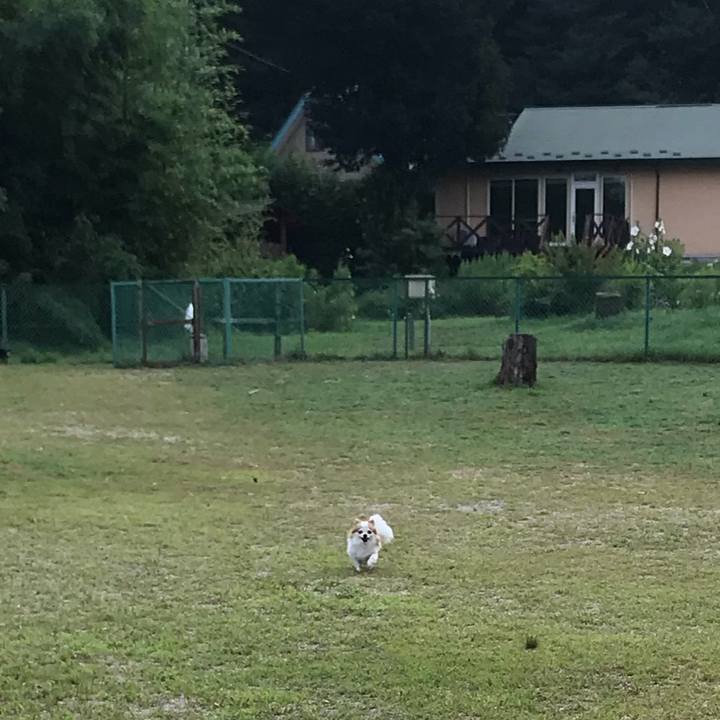 019ec0e1 209d 4fc9 8870 fe80ed4d18b7 1565697012038