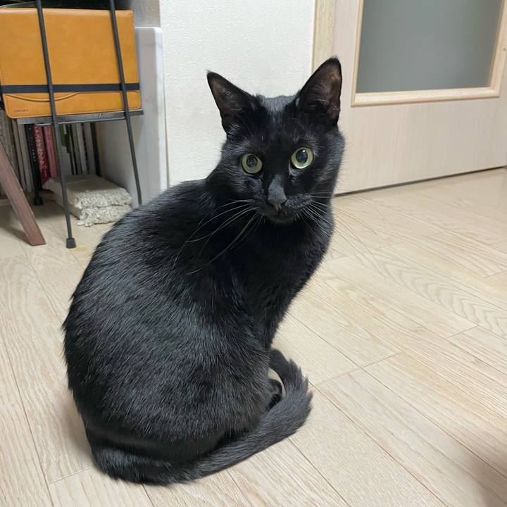 019ee69a 112e 455a a1b6 5f513a64eeb1 1645015519467