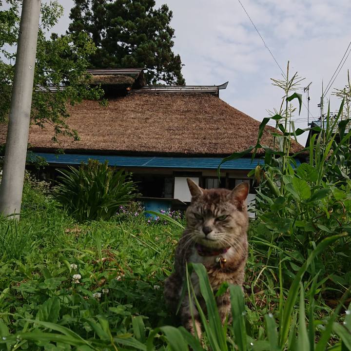 019efa69 6032 4891 836d 8e3c9aed299f 1596498037197