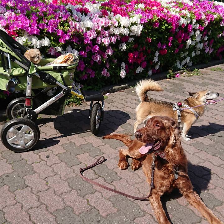 019f150b 3b61 4653 82f7 bd25a80ca2ba 1533909462806