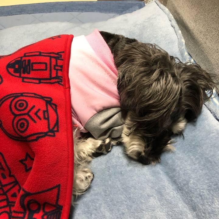 019f1d40 e5d8 4357 87f4 b983b40f9eb4 1698406767773