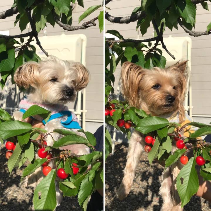 019f2ca4 619b 4640 b648 bd0ad711da59 1561025244688