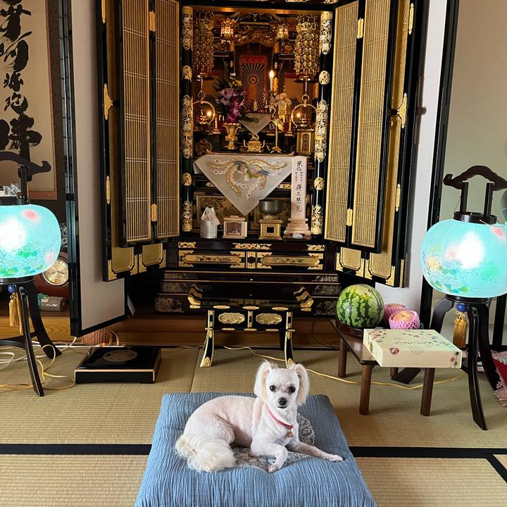 019f4792 9b4b 4edc 8e2d 2fabb4138672 1689984327379