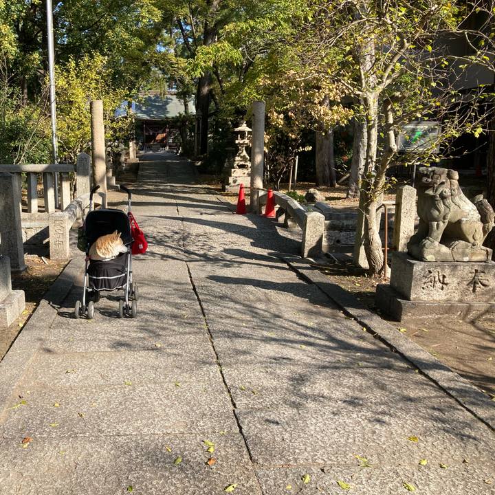 019f6f55 e577 468d b93a c74819871b9d 1637146971236