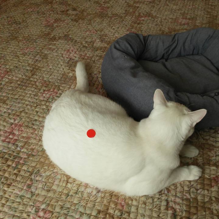 019f75d9 38d1 4434 9346 2fa72d6fbdfa 1522376867116