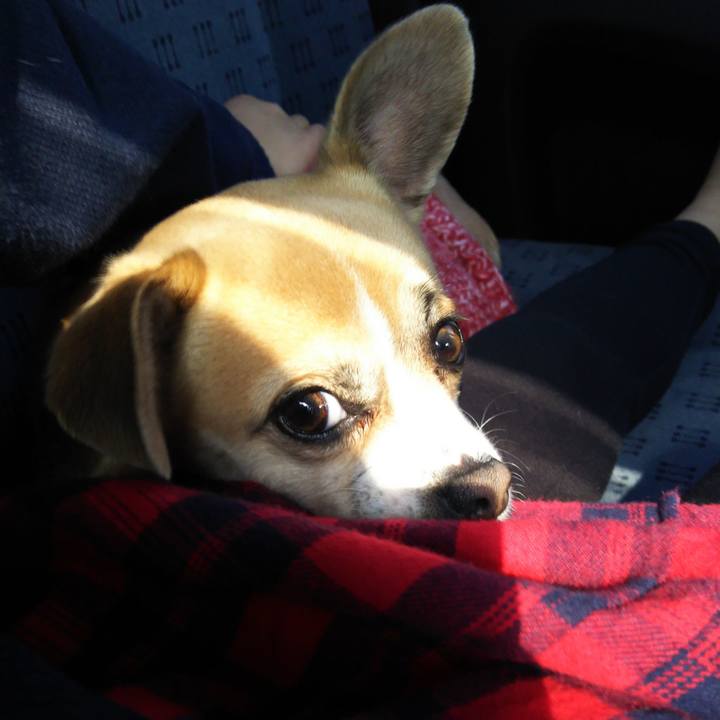 01a00d99 08f7 4c63 81a9 eb5a92b81fae 1519518739282