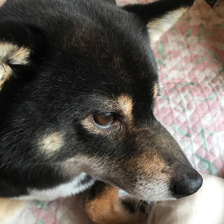 01a0212a 7621 4a83 993c f6eb163fb954 1516417311081