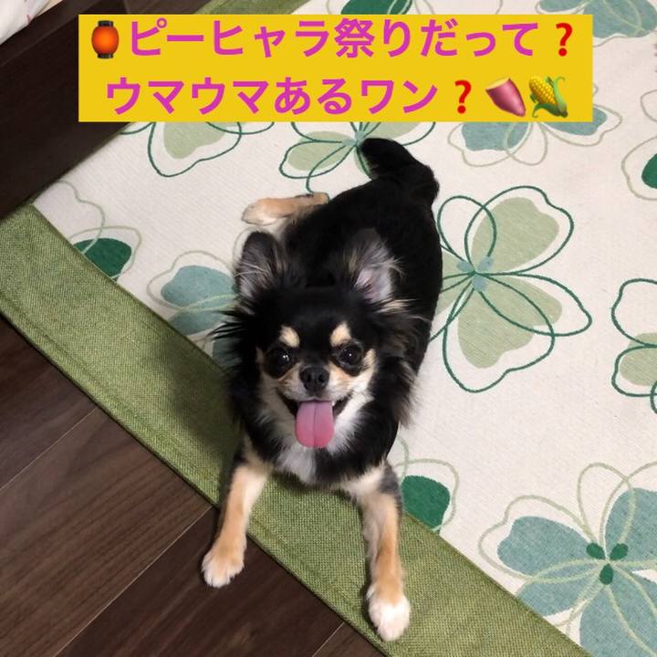 01a021fd d88e 482c baf1 a6f513292a56 1565914825751