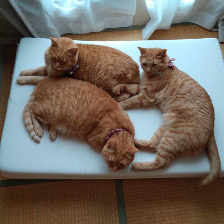 01a07286 3f55 4015 96e7 f251604d6009 1622955034758