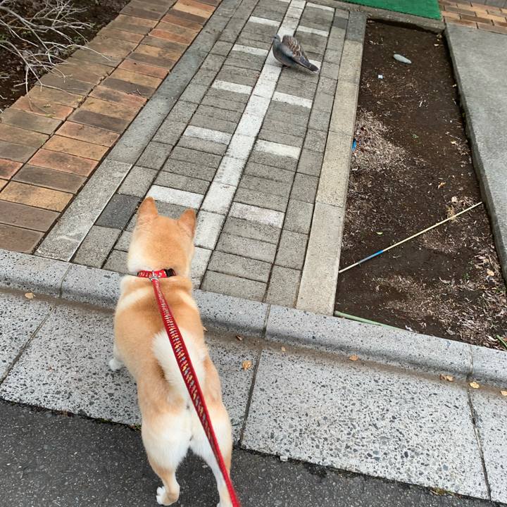 01a074a7 2e88 4dde b8fd ac674b36306c 1654676637524