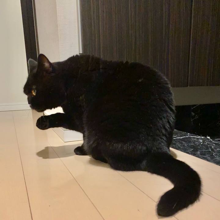 01a0b125 0dc5 43a3 b647 831fd5b04adf 1636365803338