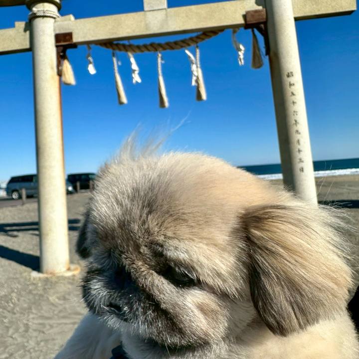 01a0c122 fe64 4a0d 8e44 b8a7c8bdd07e 1767822668062