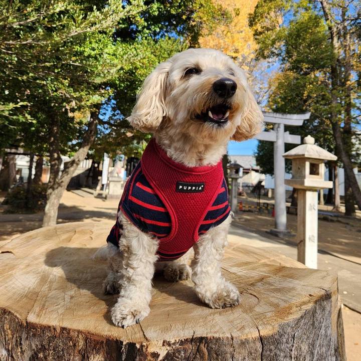 01a0e406 d546 4b8d bb1e fd7e3cf0ba2a 1765338189083