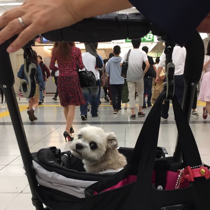 01a10e8c d39d 4f43 9cc4 c044196786da 1537015602168