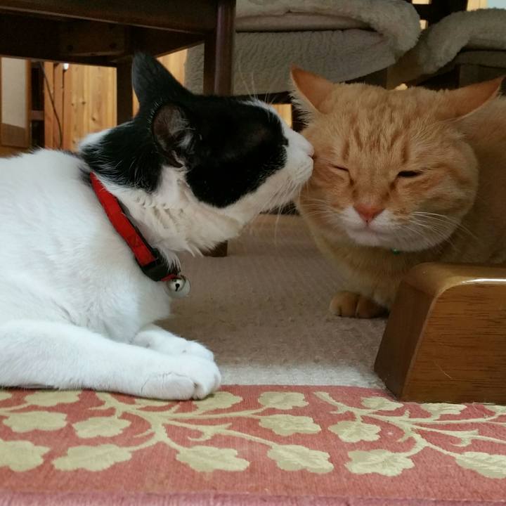 01a116c5 d88f 4fb9 b952 7f0dd51c273b 1513249296085