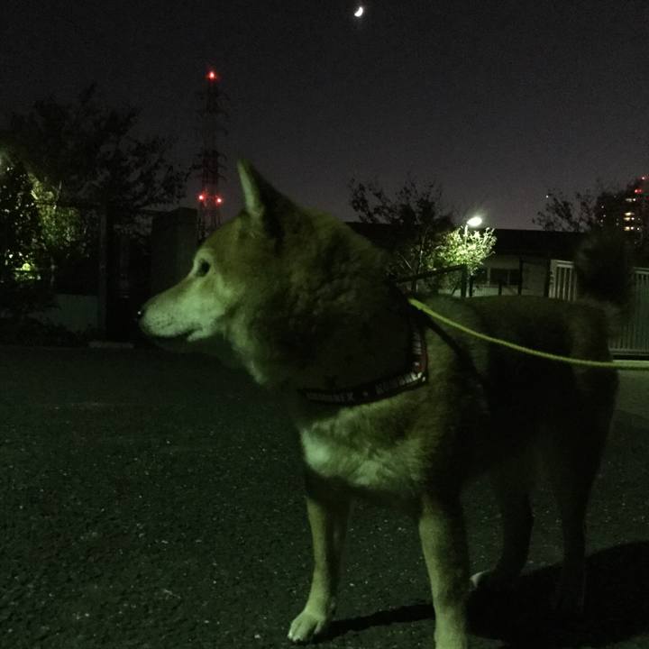 01a125ca 4535 4b97 a316 652dcf20aeac 1575106595011