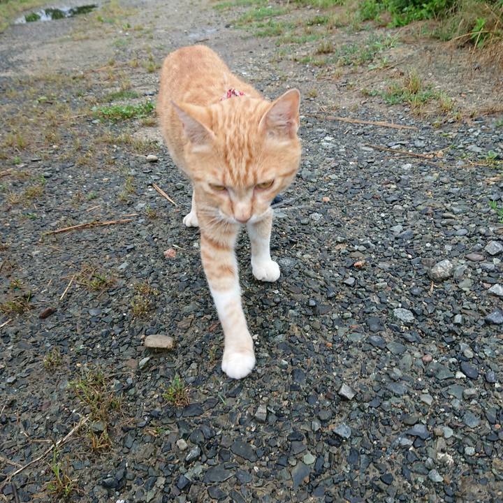 01a15504 35c1 4126 a363 0a10e673c944 1561670196108