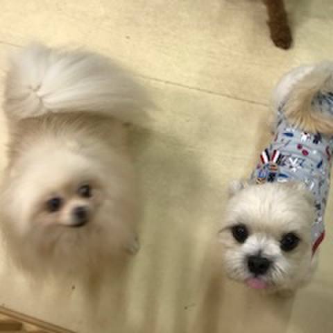 01a1a546 95af 4a27 8a89 3bd5067ff0af 1508929509927