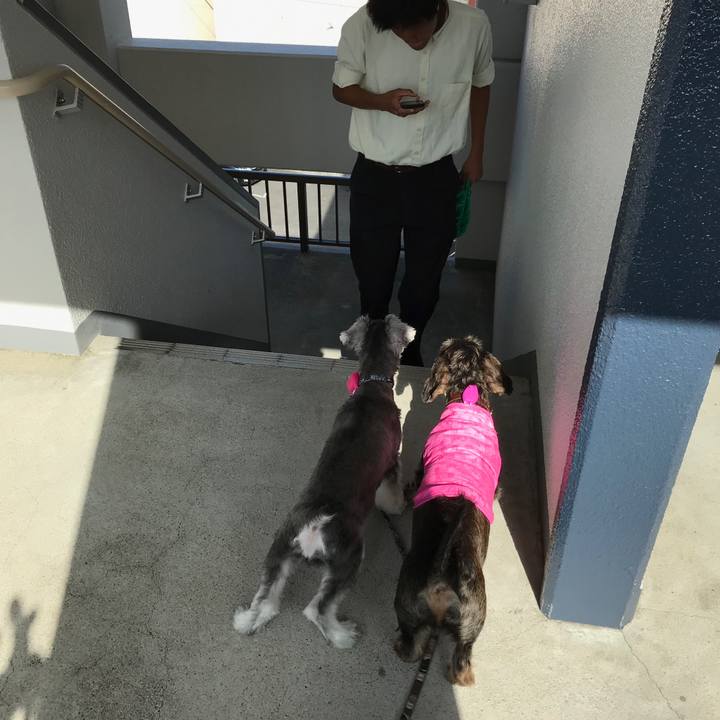 01a1a6f9 051f 413a 9cd4 7d19ec3eafe0 1568447367006