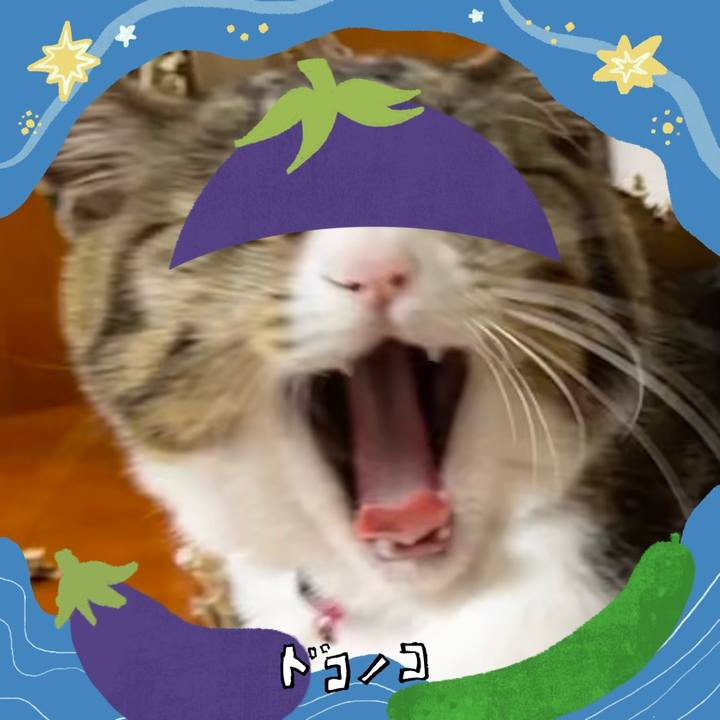 01a1c89b 6b17 4022 b0e5 990b10cb5bc5 1755518441125