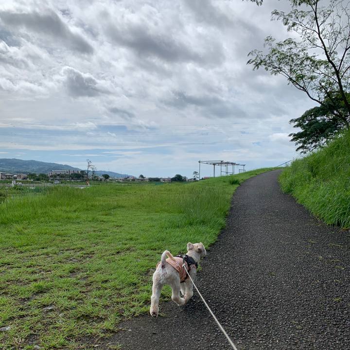 01a20ca2 7dd2 4f8c 8a07 303c98679862 1595851635981