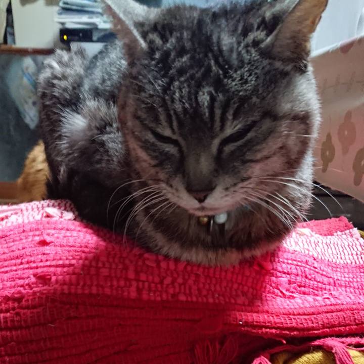 01a20f73 fb20 4a50 9ca0 f539fc61cce1 1555016384516