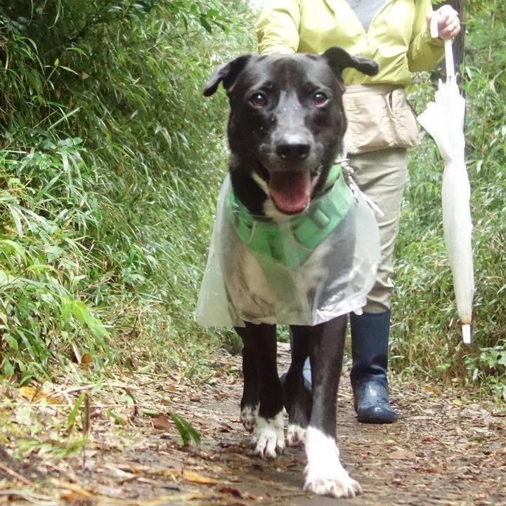 01a248f4 30f2 440e 8aed 20083ba5f1c5 1602375414866