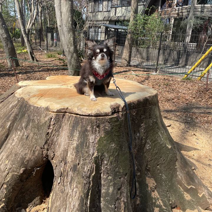 01a24a8c 0a69 41bc b3f8 f26c5e7475ca 1647342779888