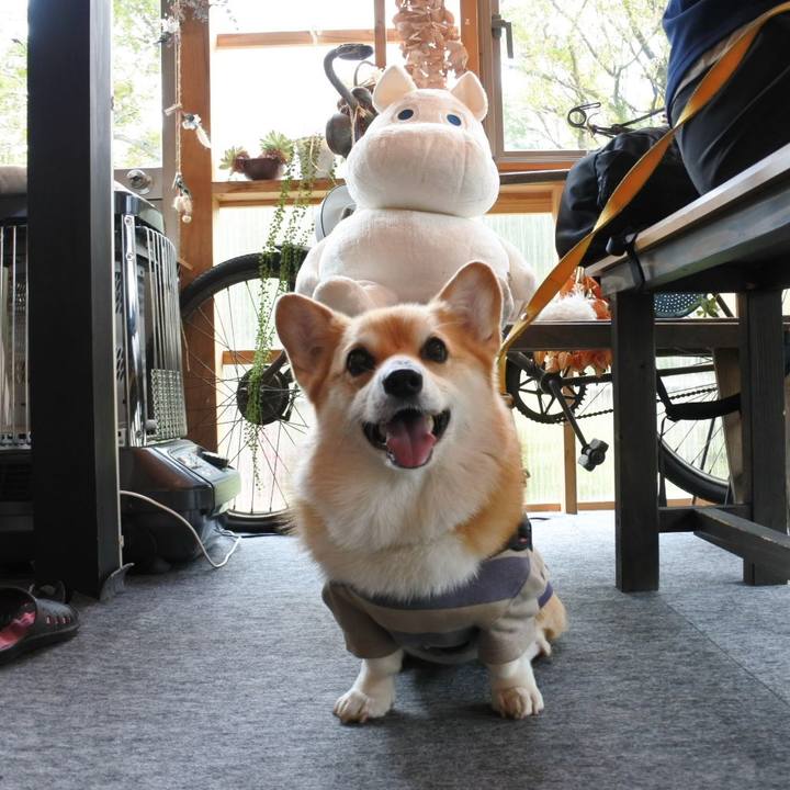 01a29d5e c856 4542 b2a6 6eda70f988d1 1699422798193