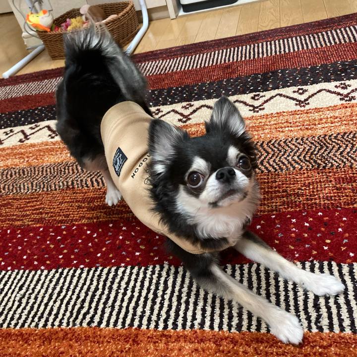 01a2b088 ea2b 43b5 986d c59249ee5e8b 1673103854164