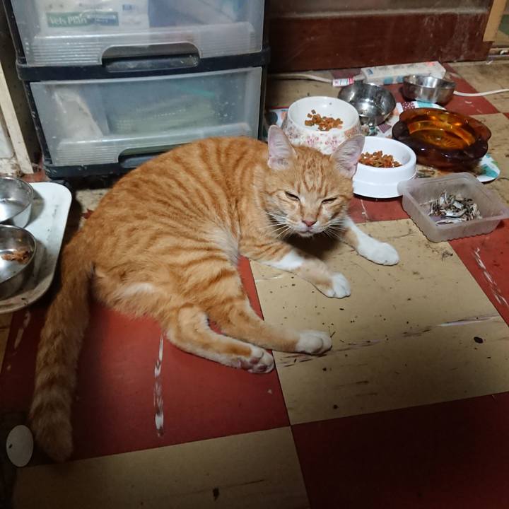 01a2bc53 57d2 4562 bbb6 543e763bf8cb 1596713633066