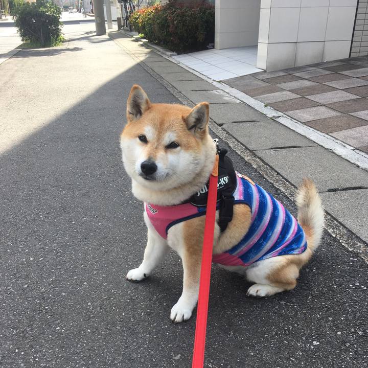 01a2c34d 6de8 44c4 ba74 645fe0c0fb24 1584762184790