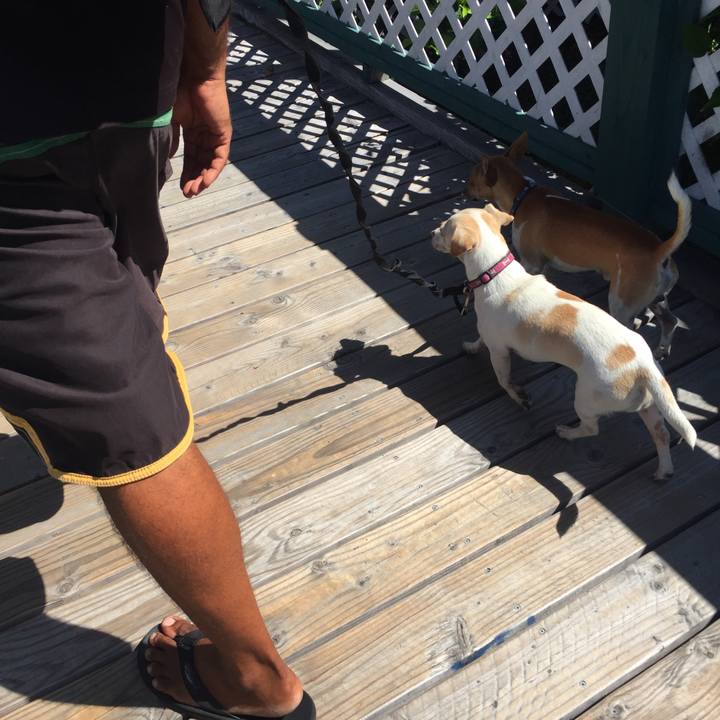 01a2d698 0f25 4a0e 8edc e2326fa615df 1542000582361